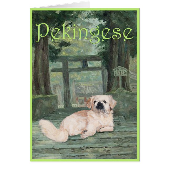 Pekinés en la puerta de Oriente (Frente)