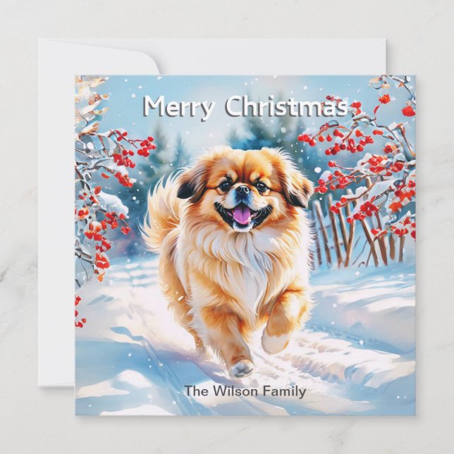Pekingese en invierno de nieve Feliz Navidad (Anverso)