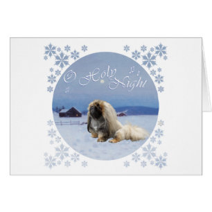 Pekingese Noche Santa