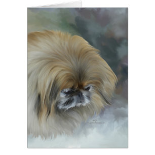Pekingese pensivo
