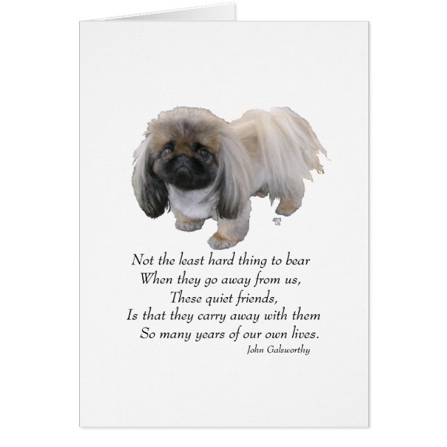 Pekingese Puente del Arcoíris (Frente)
