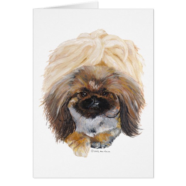 Pekingese Tuffy (Frente)