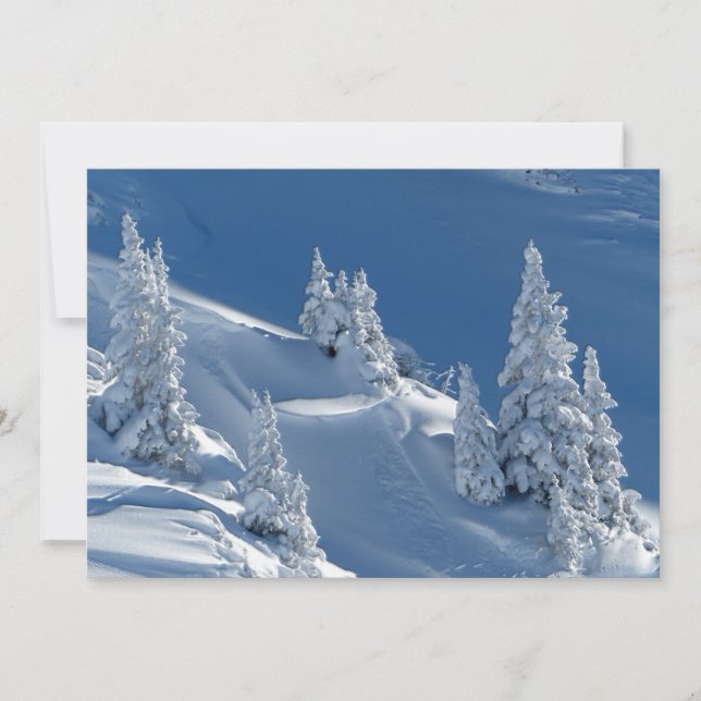 Peleas evergreen cubiertas con nieve de invierno (Anverso)