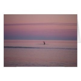 Pelican al atardecer en la isla de Sullivan, SC