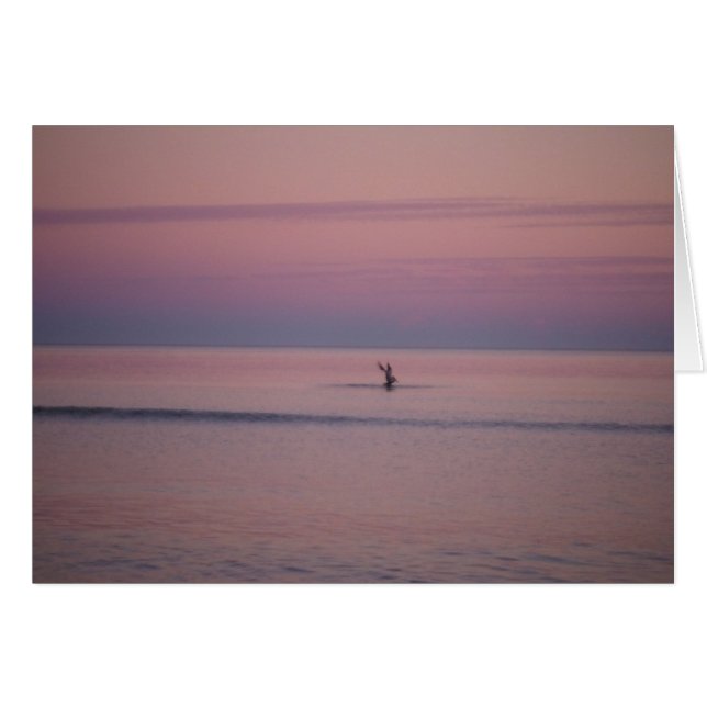 Pelican al atardecer en la isla de Sullivan, SC (Anverso (Horizontal))