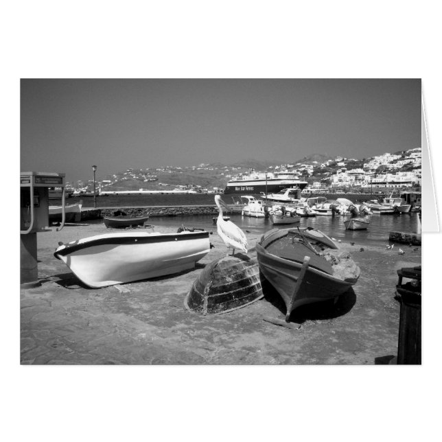 Pelican and Boats (BandaW) (Anverso (Horizontal))