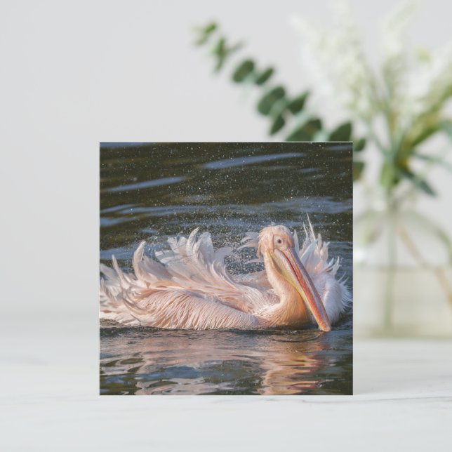 Pelican en movimiento (Anverso de pie)