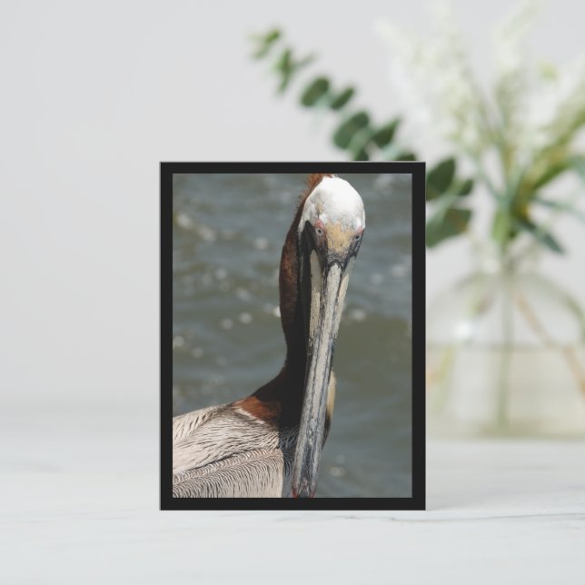 Pelican Mirándome hacia atrás la postal de Navidad (Anverso de pie)