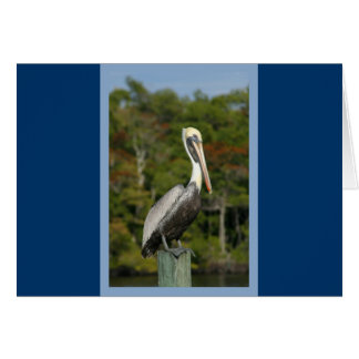Pelican sobre el azul