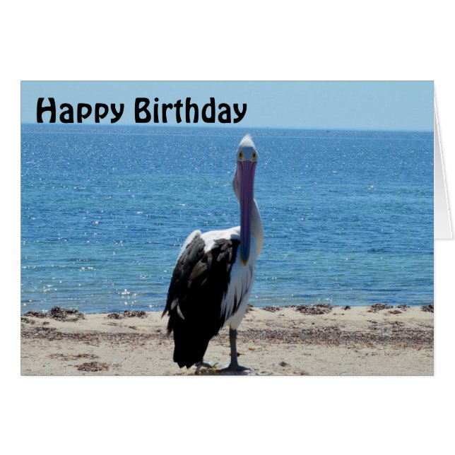 Pelican Stare Down, tarjeta de cumpleaños (Anverso (Horizontal))