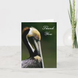 Pelican - Tarjeta de agradecimiento
