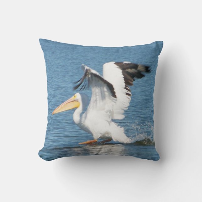 Pelícano blanco en la almohada magnífica (Anverso)