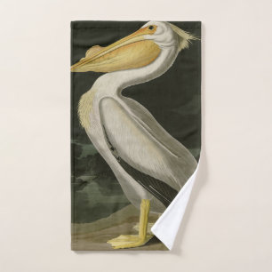 Pelícano blanco estadounidense, pájaros de América