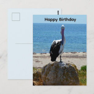 Pelícano Con La Mirada, Tarjeta De Cumpleaños