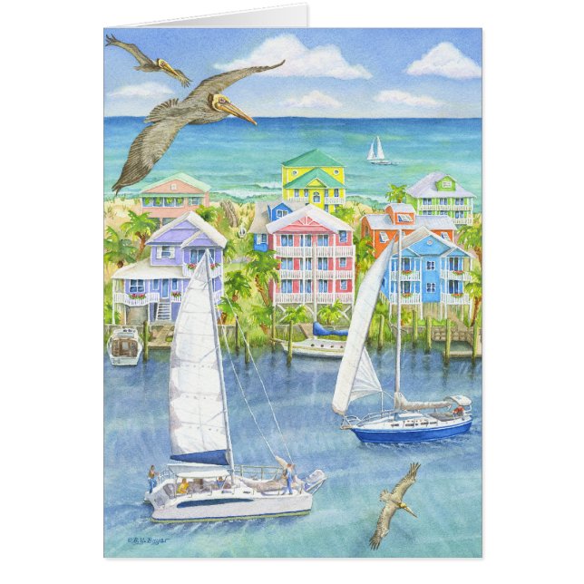 Pelícano Point of View (Frente)