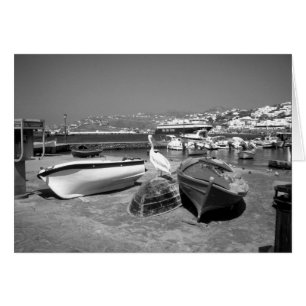 Pelícano y barcos (BandW)