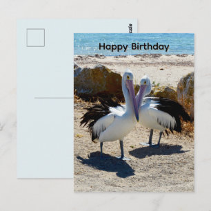 Pelícanos Enamorados, Tarjeta De Cumpleaños