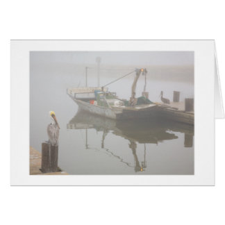 Pelícanos y barco del camarón