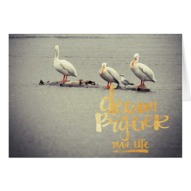 Pelícanos y gaviotas sueñan más inspiradores (Anverso (Horizontal))