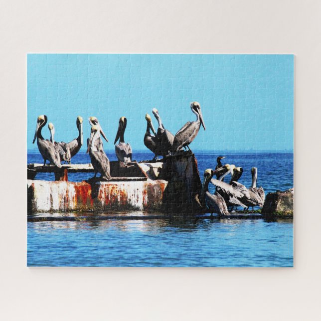 Pelicans on the shore, Jigsaw Puzzle (Horizontal)