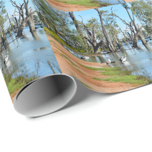 Pelicans Sunbaking River Murray, papel de regalo
