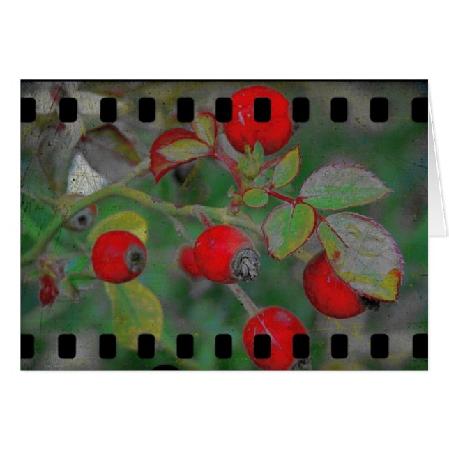 Película Rosa 2 (Anverso (Horizontal))