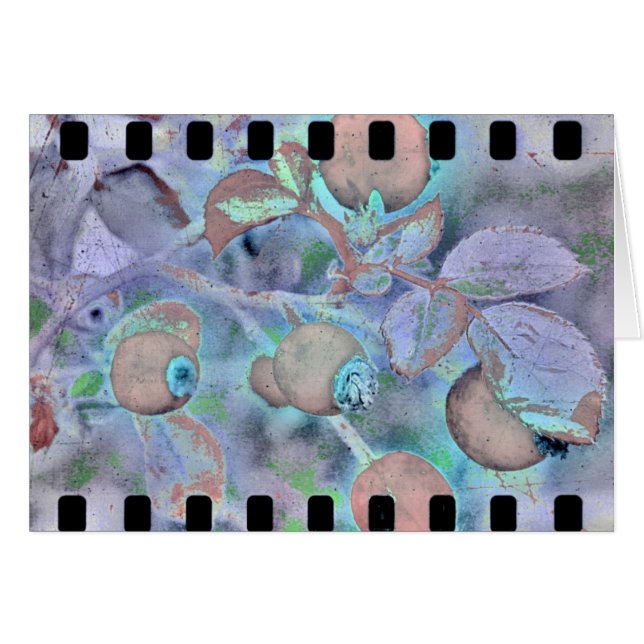 Película Subió 3 (Anverso (Horizontal))