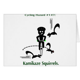 Peligro de ciclo: ardillas del kamikaze