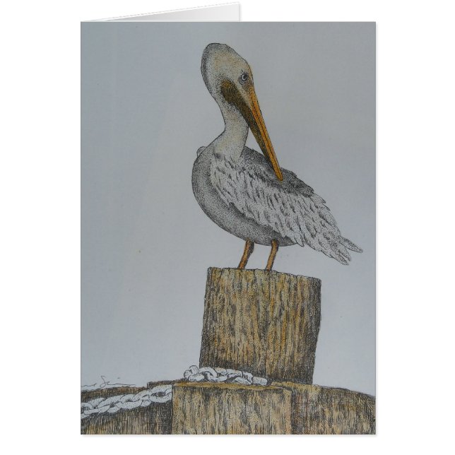 Pelly solitario (Frente)