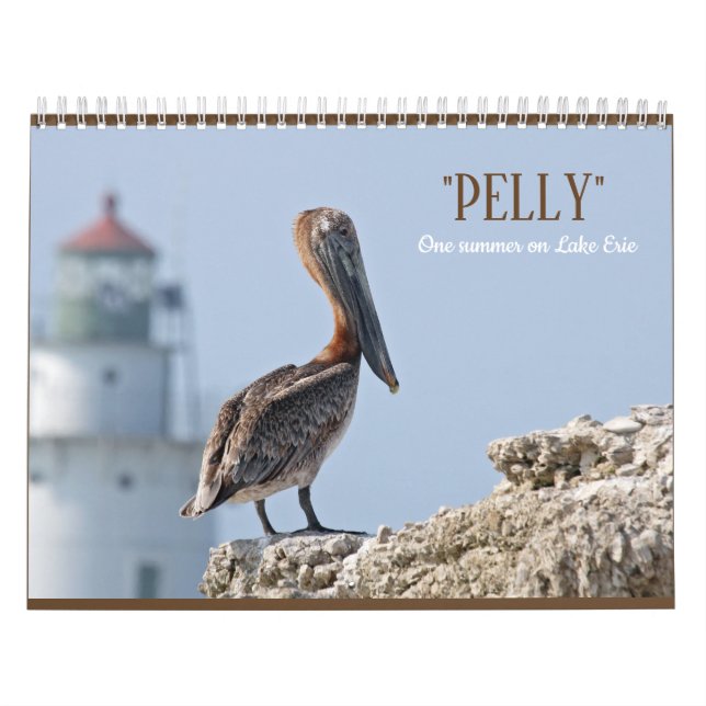 "Pelly - un verano en calendario de pared del lago (Tapa)