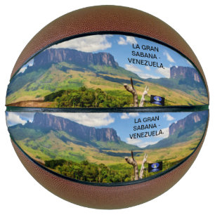 Pelota de baloncesto de la Gran Sabana.