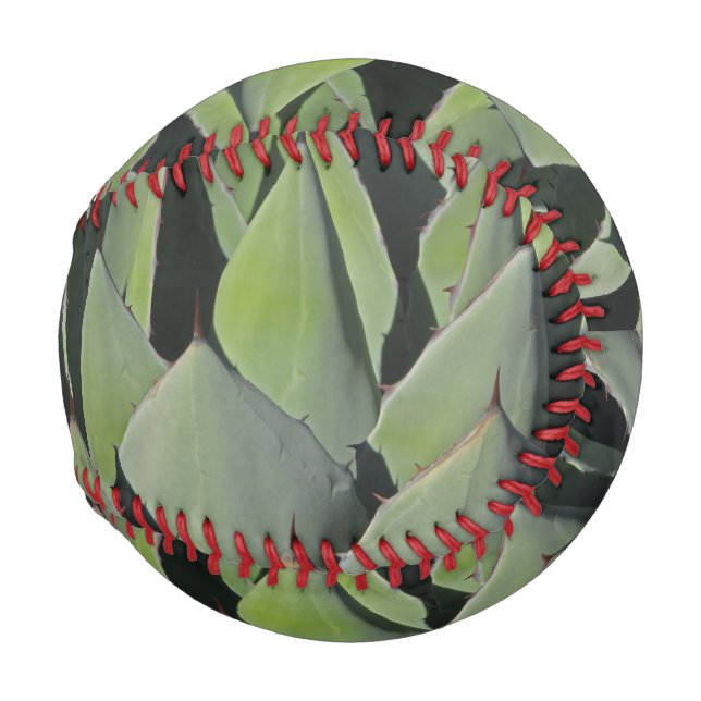 Pelota De Béisbol Agave verde deja foto botánica al suroeste (Anverso derecho)