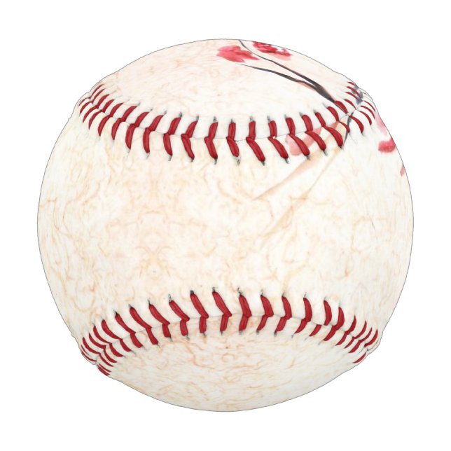 Pelota De Béisbol Antecedentes de pájaro (Anverso)