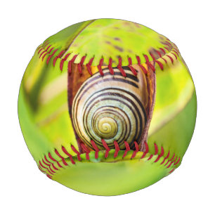 Pelota De Béisbol apego