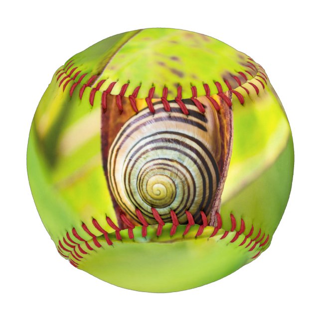 Pelota De Béisbol apego (Anverso)