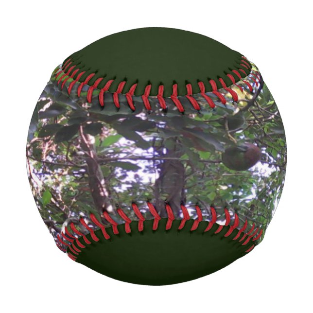 Pelota De Béisbol Árbol de aguacate (Anverso)