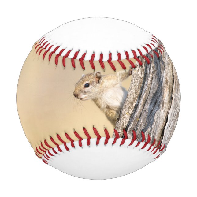 Pelota De Béisbol Ardilla de árbol (Anverso)