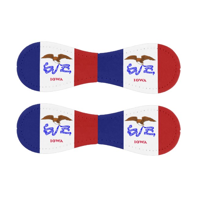Pelota De Béisbol Bandera de Iowa (Paneles)