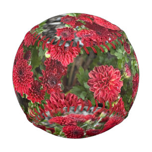 Pelota De Béisbol Béisbol