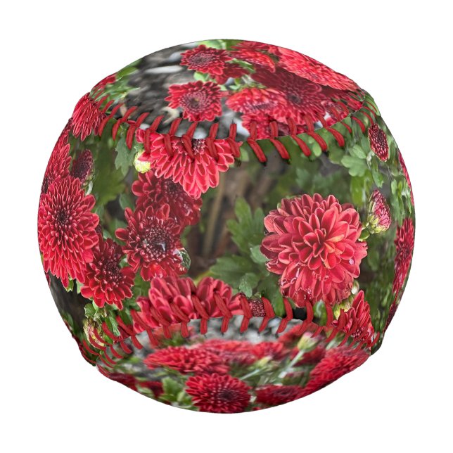 Pelota De Béisbol Béisbol (Anverso)