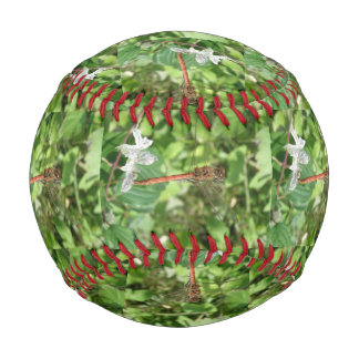 Pelota De Béisbol Béisbol Darter Dragonfly