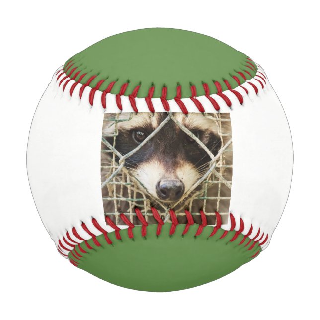 Pelota De Béisbol béisbol de mapache (Reverso)