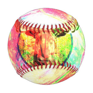 Pelota De Béisbol Béisbol Moose