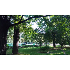 Pelota De Béisbol béisbol verde
