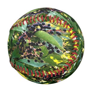 Pelota De Béisbol Bellas negras