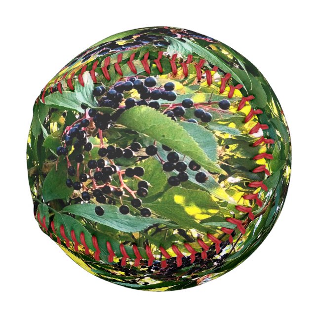 Pelota De Béisbol Bellas negras (Anverso derecho)