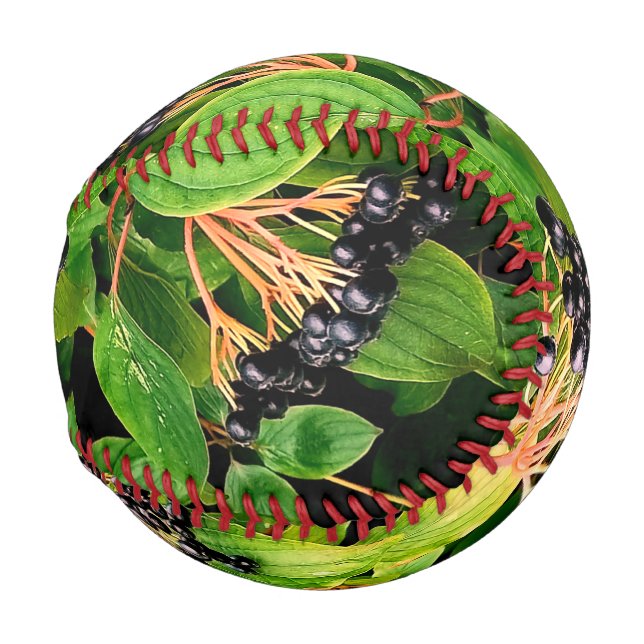 Pelota De Béisbol Bellas negras (Anverso derecho)