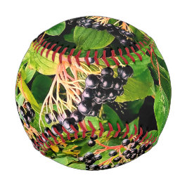 Pelota De Béisbol Bellas negras