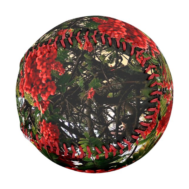 Pelota De Béisbol Bellas rojas (Anverso derecho)