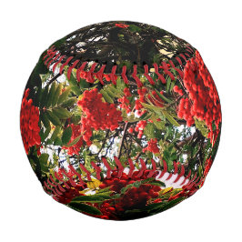 Pelota De Béisbol Bellas rojas